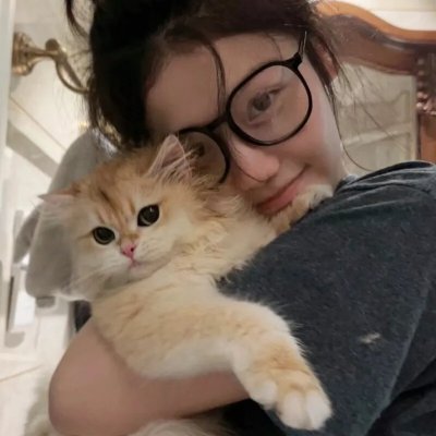 蒂科与鲨鱼